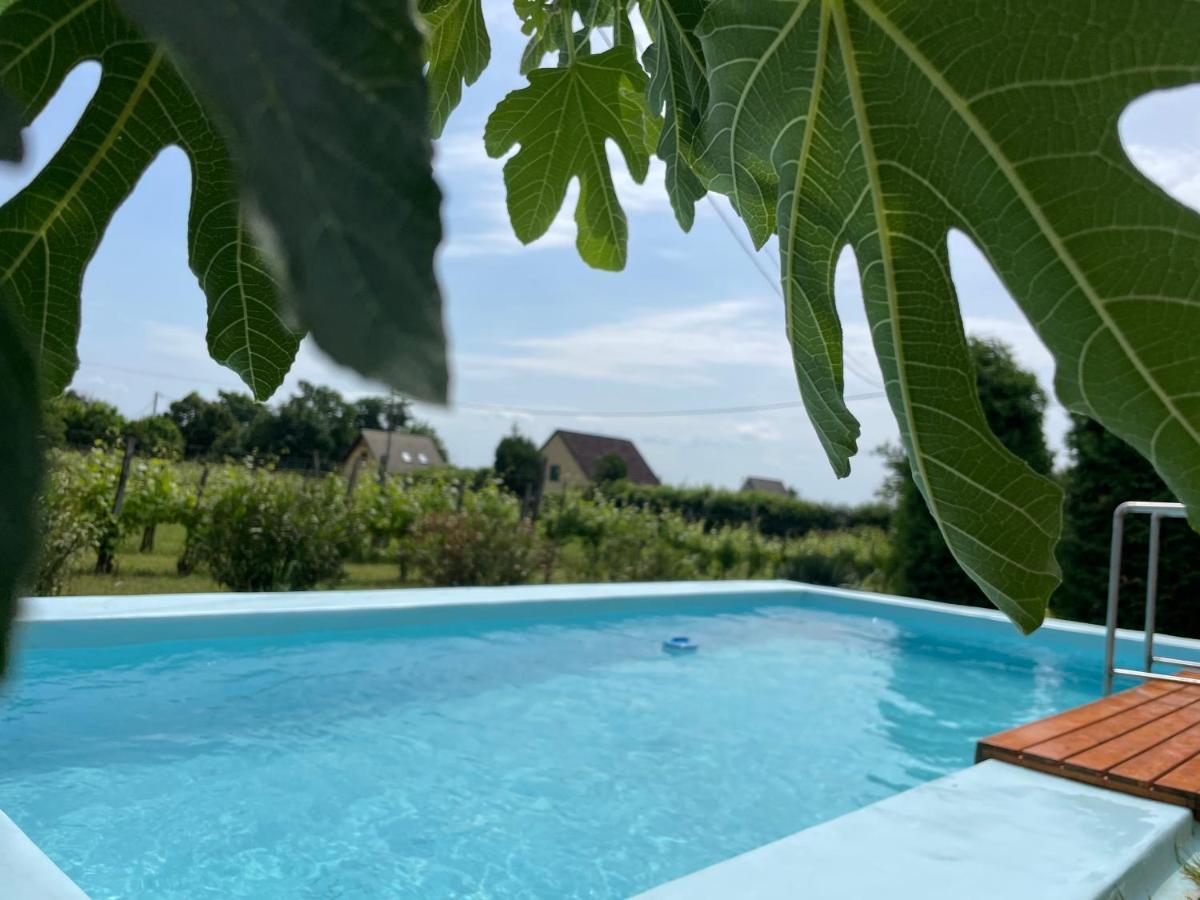 Fuege Vendeghaz Villa Lovas Bagian luar foto